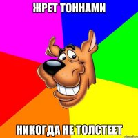 жрет тоннами никогда не толстеет