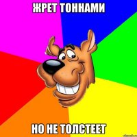 жрет тоннами но не толстеет