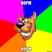 Норм Норм