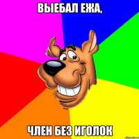 Выебал ежа, Член без иголок
