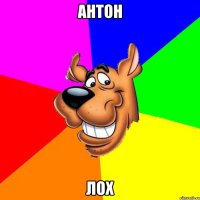 антон лох