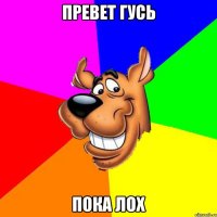 превет гусь пока лох