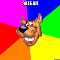 заебал 