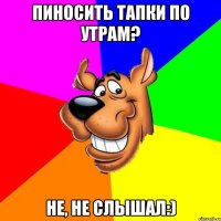 Пиносить тапки по утрам? Не, не слышал:)