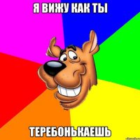Я вижу как ты Теребонькаешь