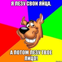 Я лезу свои яйца, а потом лезу твое лицо!
