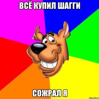 Всё купил Шагги Сожрал Я