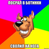 посрал в ботинки сволил на кота