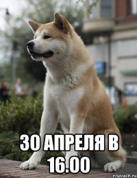  30 апреля в 16.00