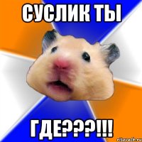 СУСЛИК ТЫ ГДЕ???!!!