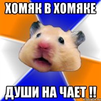 Хомяк в хомяке Души на чает !!