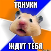 тануки ждут тебя