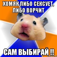 Хомяк либо сексует, либо ворчит Сам выбирай !!