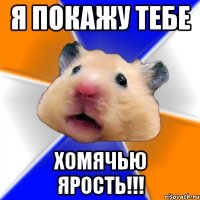 Я покажу тебе хомячью ярость!!!