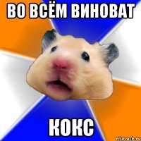 Во всём виноват кокс