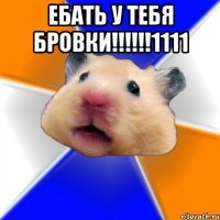 ЕБАТЬ У ТЕБЯ БРОВКИ!!!!!!1111 