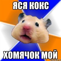 Яся кокс Хомячок мой