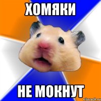 Хомяки не мокнут