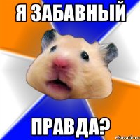 Я забавный Правда?