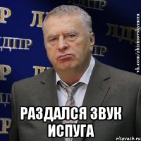  Раздался звук испуга