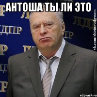 Антоша ты ли это 