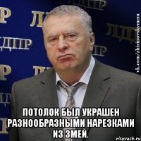  Потолок был украшен разнообразными нарезками из змей.