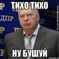 тихо тихо ну бушуй