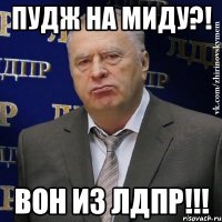 ПУДЖ НА МИДУ?! ВОН ИЗ ЛДПР!!!