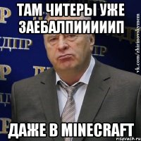 Там читеры уже заебалпииииип Даже в minecraft