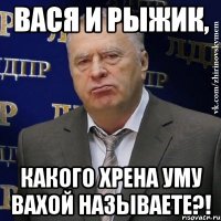 ВАСЯ И РЫЖИК, КАКОГО ХРЕНА УМУ ВАХОЙ НАЗЫВАЕТЕ?!