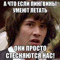 А что если пингвины умеют летать Они просто стесняются нас!