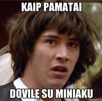 Kaip pamatai Dovilę su miniaku