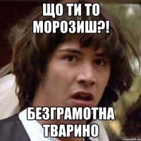 Що ти то морозиш?! безграмотна тварино