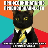 профессиональное правосознание-это знания,навыки,чувства,складывающиеся у юристов-практиков