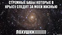 СТРЕМНЫЕ БАБЫ КОТОРЫЕ В КРЫСУ СЛЕДЯТ ЗА МОЕЙ ЖИЗНЬЮ ЛОХУШКИ))))))))