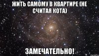 Жить самому в квартире (не считая кота) Замечательно!