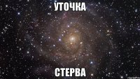 УТОЧКА СТЕРВА