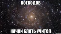 воеводов начни блять учится