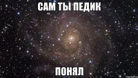 сам ты педик понял