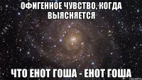 офигенное чувство, когда выясняется что енот гоша - енот гоша