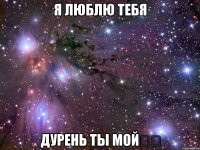 Я люблю тебя Дурень ты мой❤️