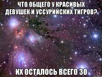 Что общего у красивых девушек и уссурийских тигров? Их осталось всего 30