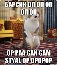 Барсик ОП ОП ОП Оп Оп OP PAA GAN GAM STYAL OP opopoP