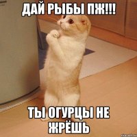 дай рыбы пж!!! ты огурцы не жрёшь