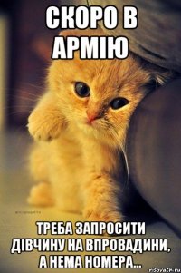 Скоро в армію Треба запросити дівчину на впровадини, а нема номера...
