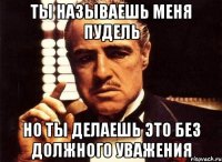 ТЫ НАЗЫВАЕШЬ МЕНЯ ПУДЕЛЬ НО ТЫ ДЕЛАЕШЬ ЭТО БЕЗ ДОЛЖНОГО УВАЖЕНИЯ