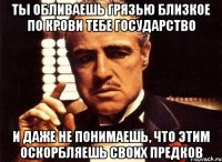 ты обливаешь грязью близкое по крови тебе государство и даже не понимаешь, что этим оскорбляешь своих предков