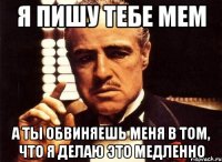 я пишу тебе мем а ты обвиняешь меня в том, что я делаю это медленно