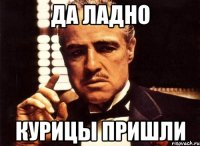 Да ладно курицы пришли
