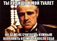 Ты ходишь в мой туалет Но даже не считаешь нужным наполнить къумгъан после себя